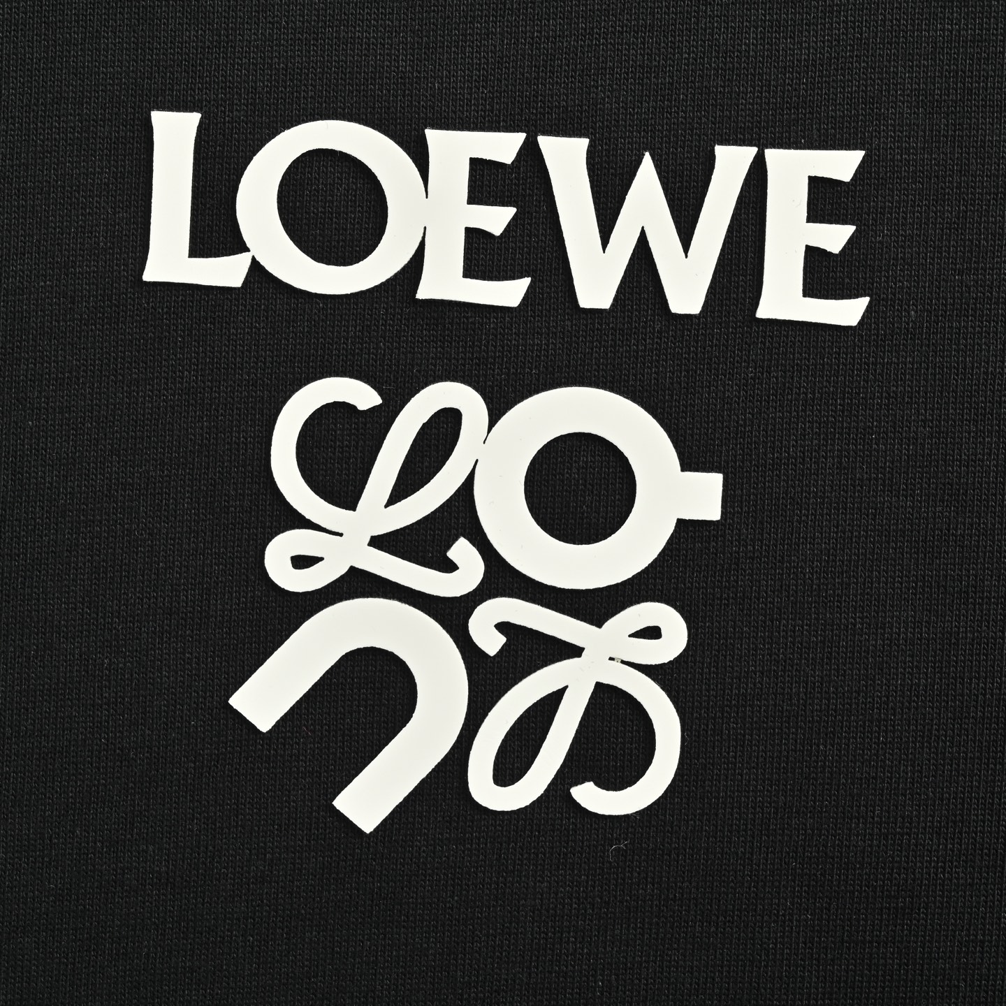 Loewe 25ss Aonpao small logo laminated print short-sleeve