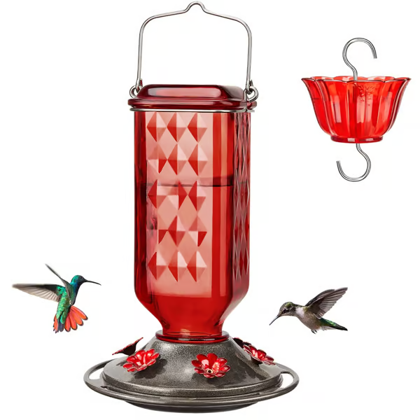 🔥HOT SALE 50% OFF🔥New Hanging Outdoor Glass Hummingbird Feeder With Perch And Built-in Ant Moat🐦