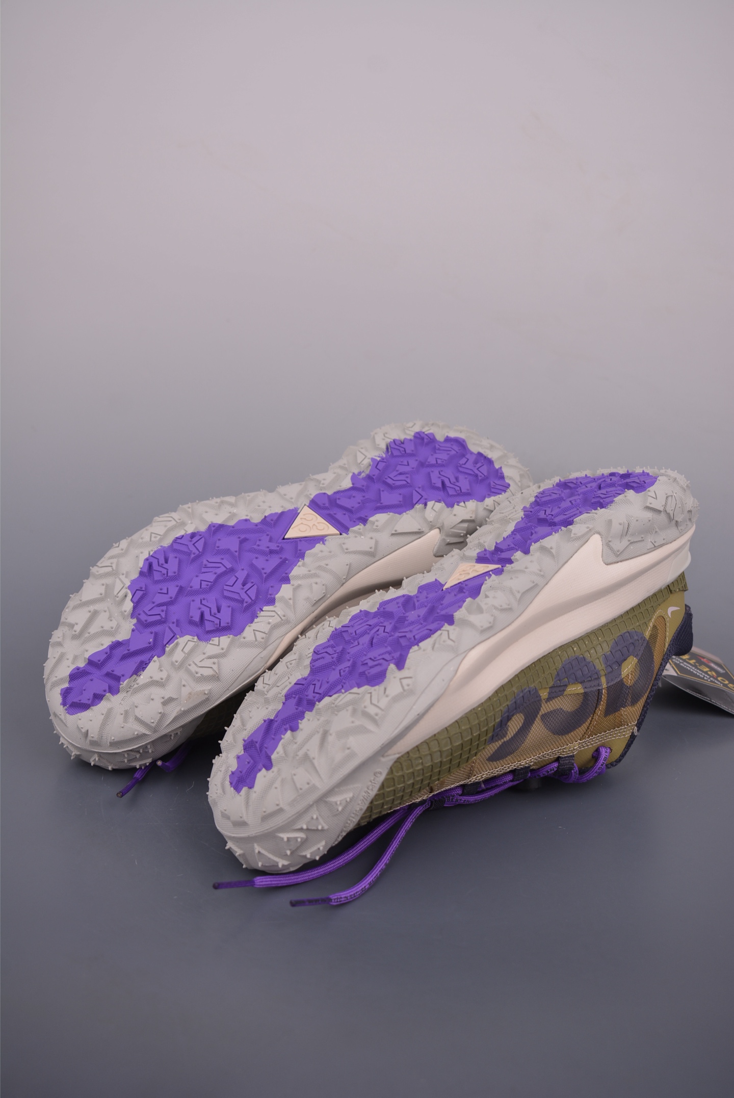 NikeACG MOUNTAIN FLY 2 LOW 