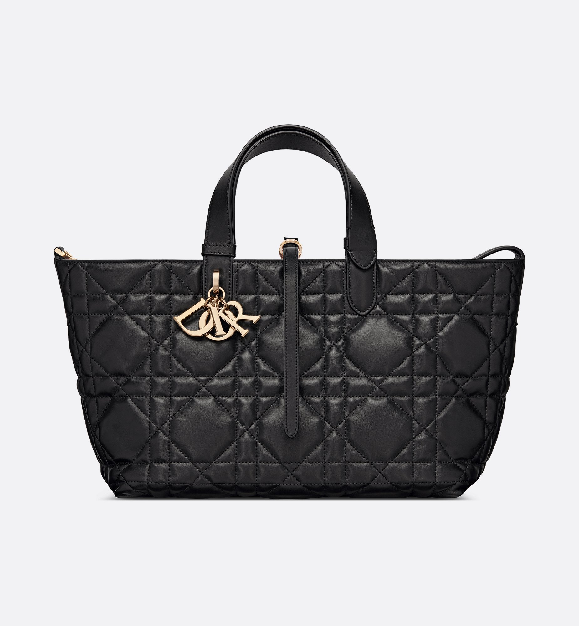 Dior Medium Dior Toujours Bag M2821OSNW_M900