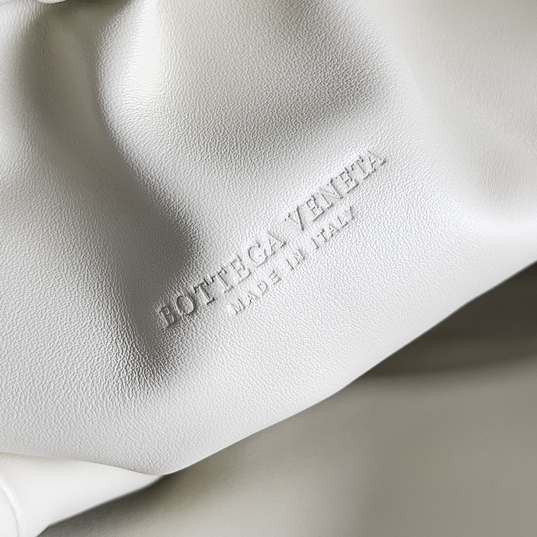 Bottega Veneta Python Cloud Bag 576227