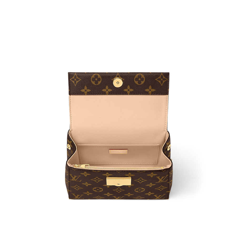 Louis Vuitton CLUNY Mini Bag M46055