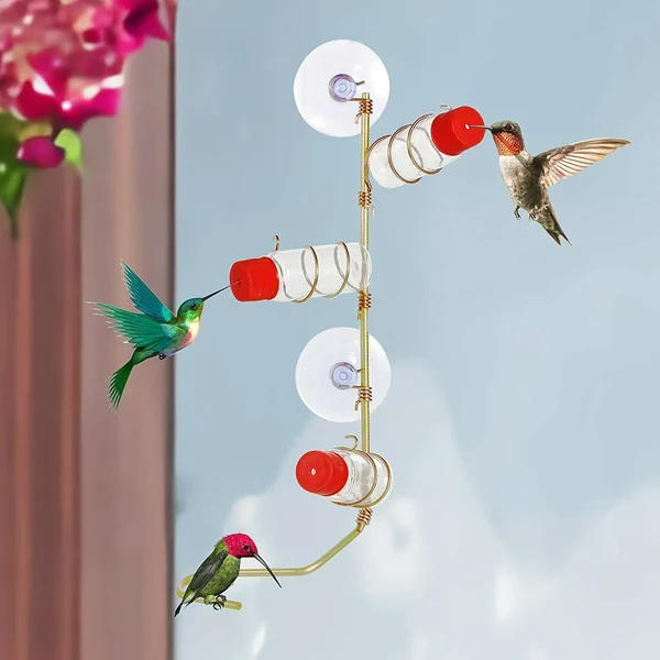 🔥HOT SALE 49% OFF🔥Suction cup bird feeder🐦