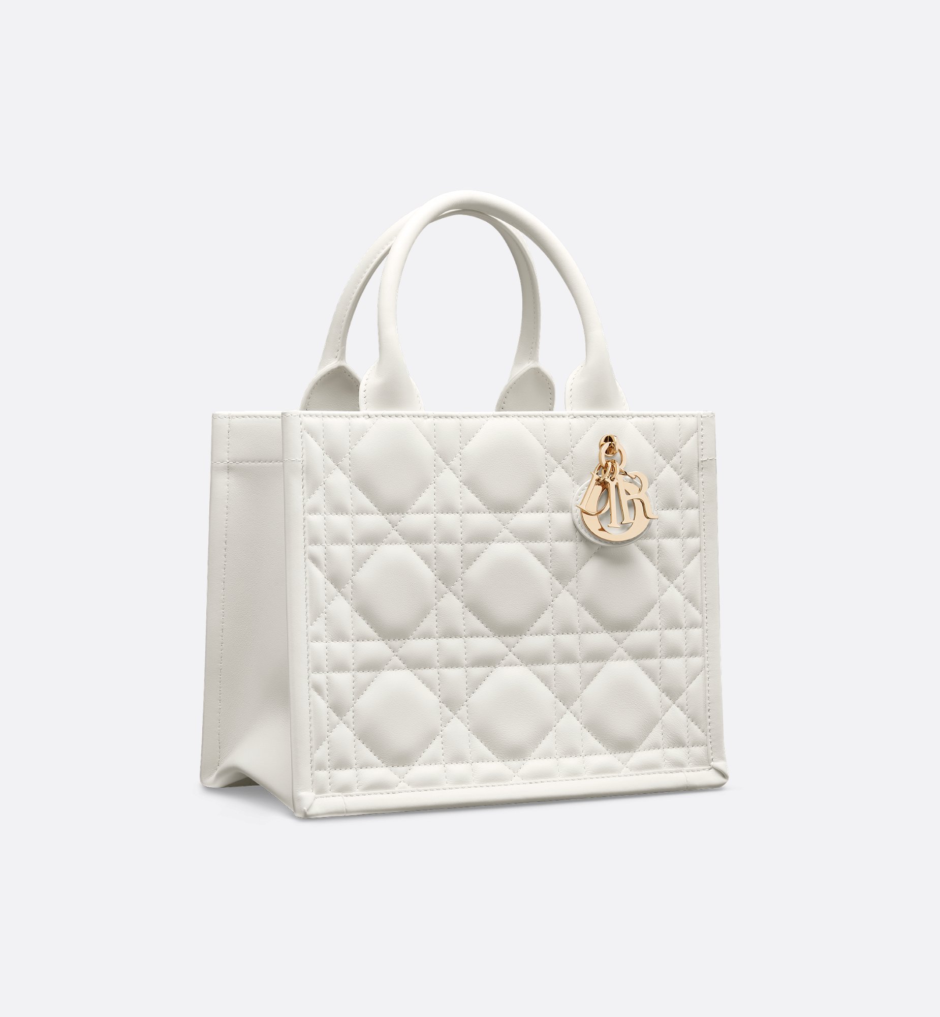 Dior Small Book Tote Bag M1325OWHP_M030