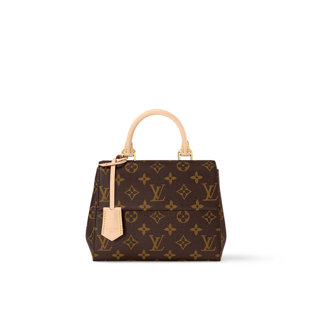 Louis Vuitton CLUNY Mini Bag M46055