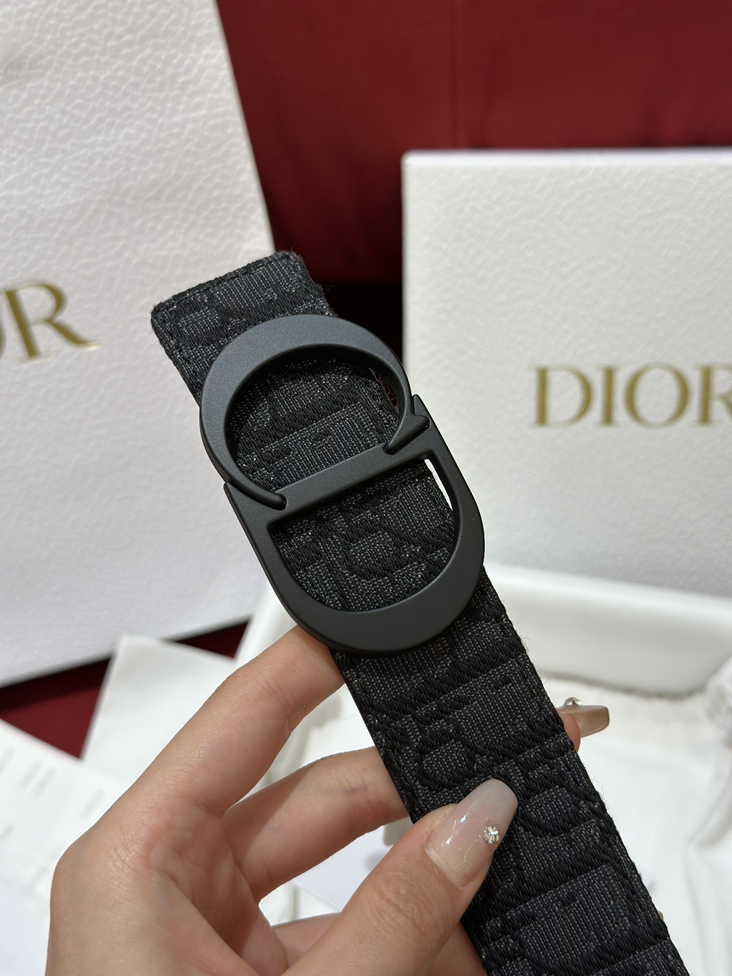 Dior CD Buckle Canvas Leather Belt 3.5CM Width