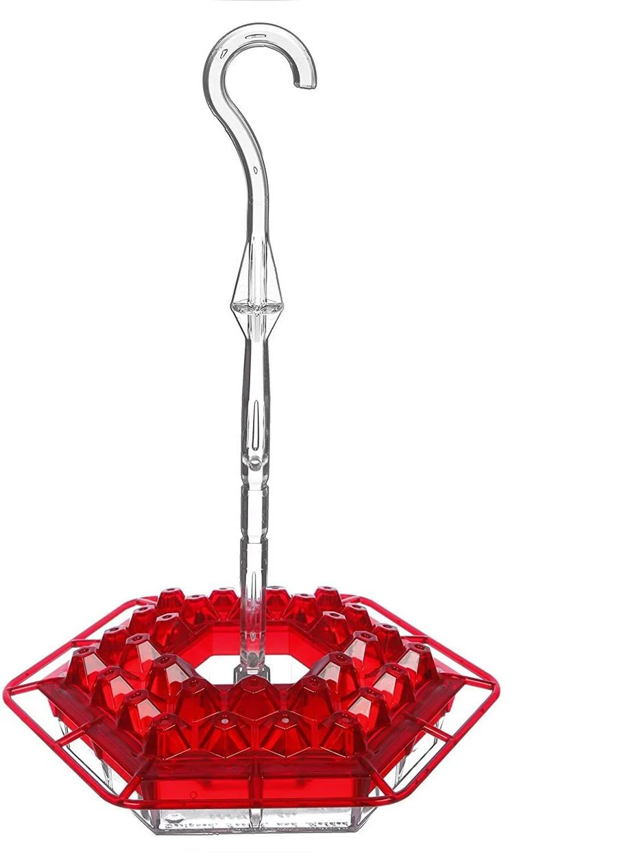 💥2022 New Year Hot Sale 50% OFF 🎉 Sweety Hummingbird Feeder With Perch And Built-in Ant Moat