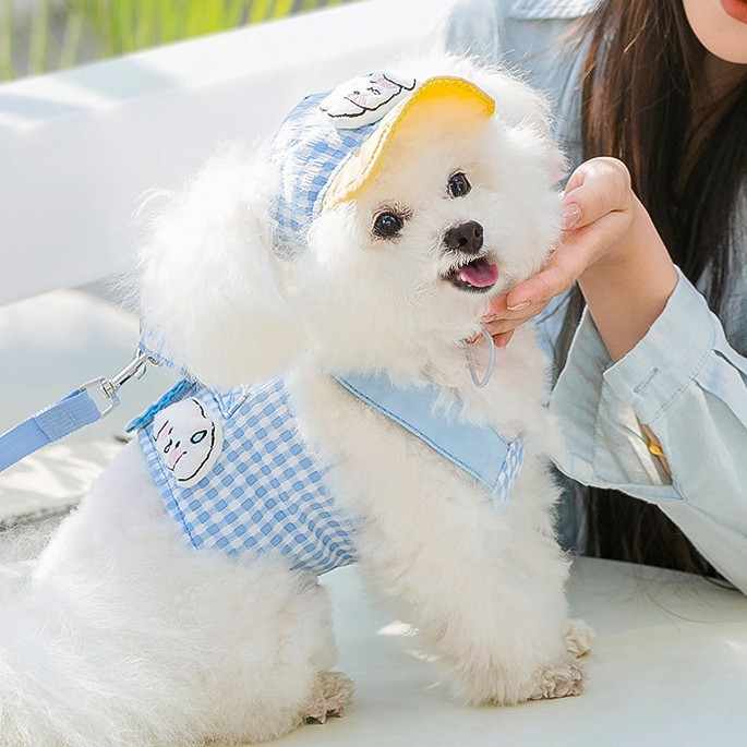 🐶🐾Fashionable dog spring and summer outdoor suit（Unleash Your Pup's Style!）