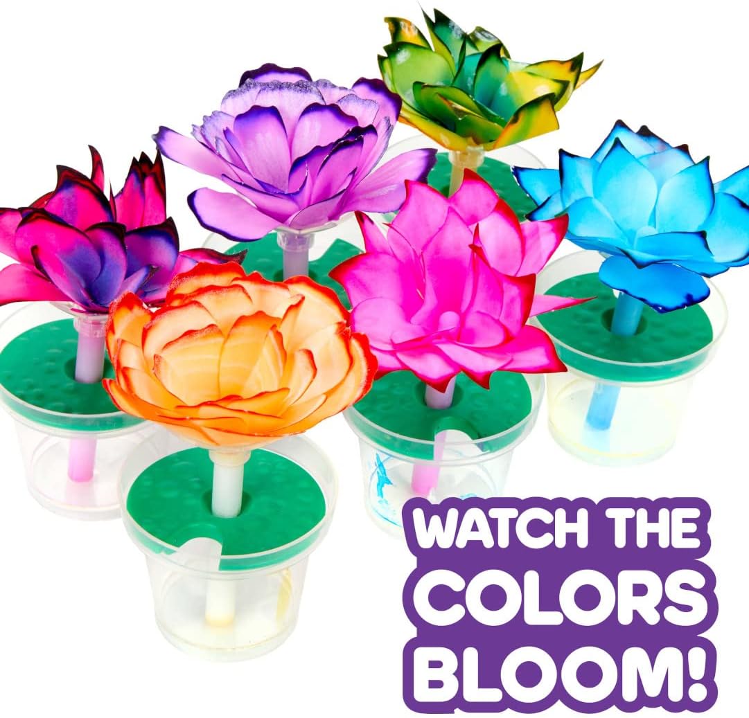 🔥On Sale🔥Paper Flower Science Kit, Color Changing Flowers