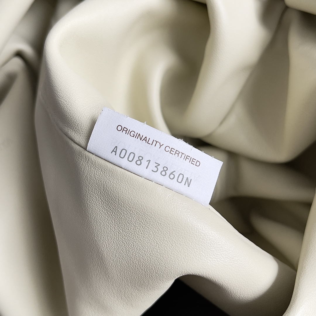 Bottega Veneta Python Cloud Bag 576227