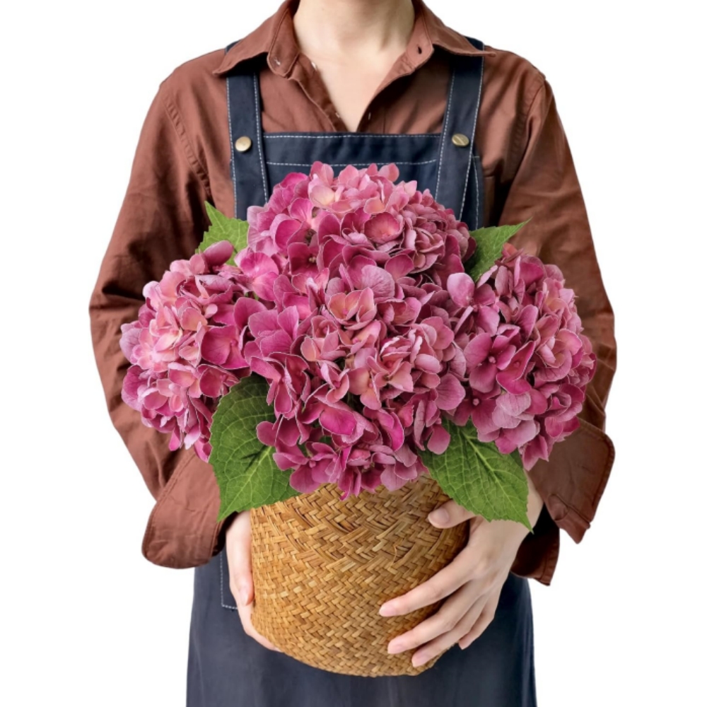 On Sale🔥21inch Outdoor Real Touch Artificial Hydrangea💐☀️UV resistant, Waterproof，Windproof🌪️(🎉Tips: 4 Píece Fills A Flower Pot)