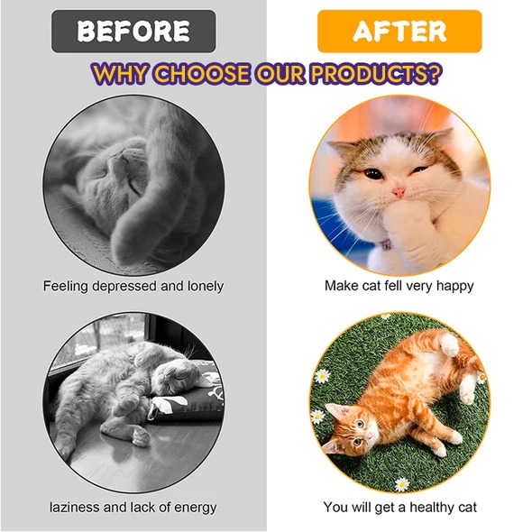 💥50% OFF--Last Day Sale🔥--S-Type Cat Tunnel Toy--BUY 3 GET 15% OFF & FREE SHIPPING