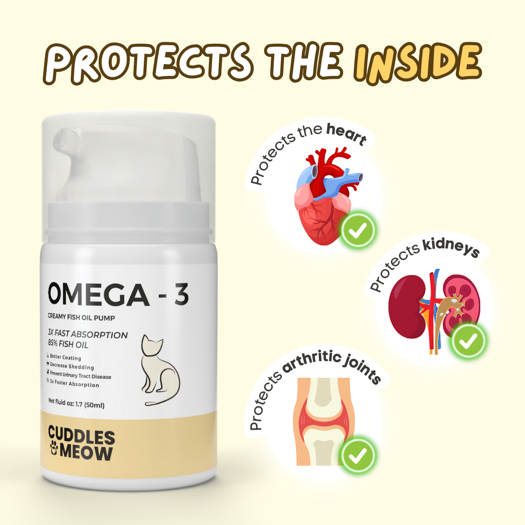 👍2024 New Arrival- 60% OFF💥Creamy Fish Oil Pump