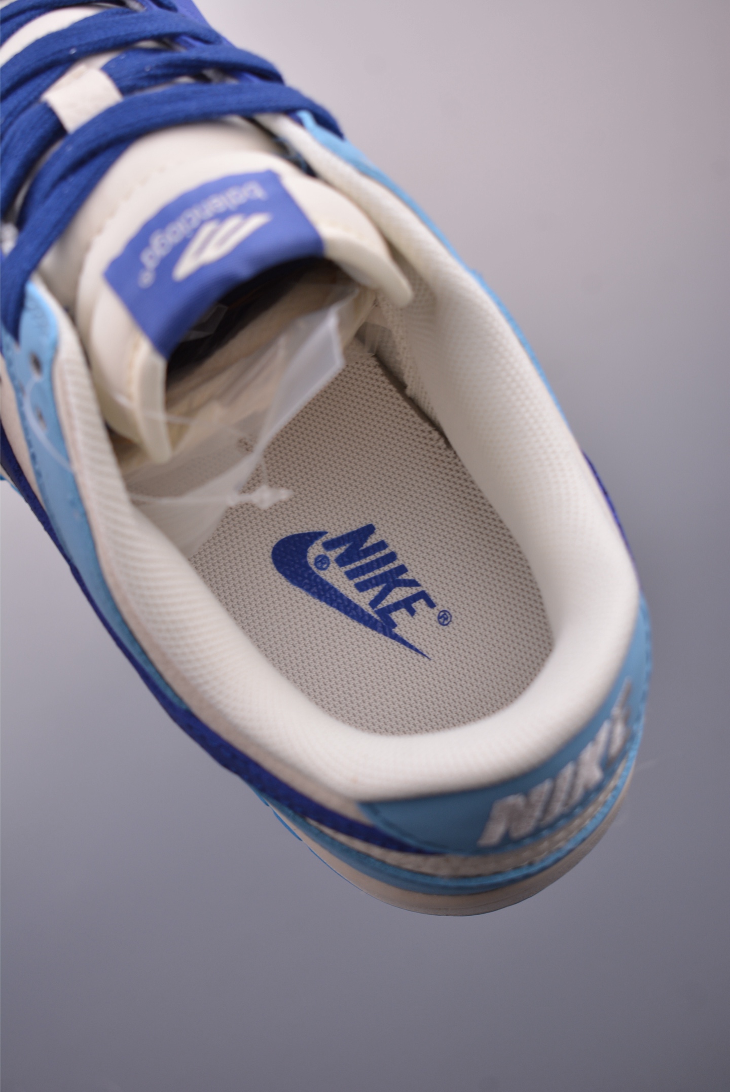 Balenciaga x Nike SB Dunk Low 