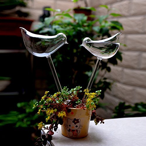 🔥45% OFF Last Day Sale -Self-Watering Plant Glass Bulbs-BUY 4 SETS FREE SHIPPING