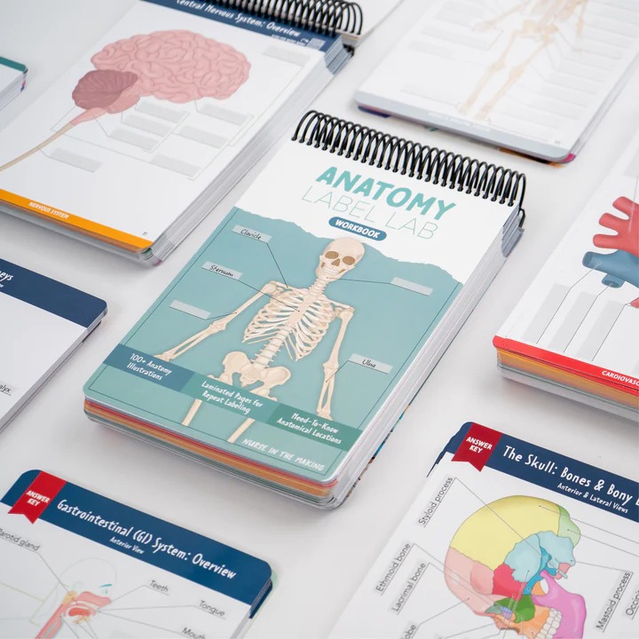 ✨Last Day 50% OFF✨Anatomy Label Lab Workbook