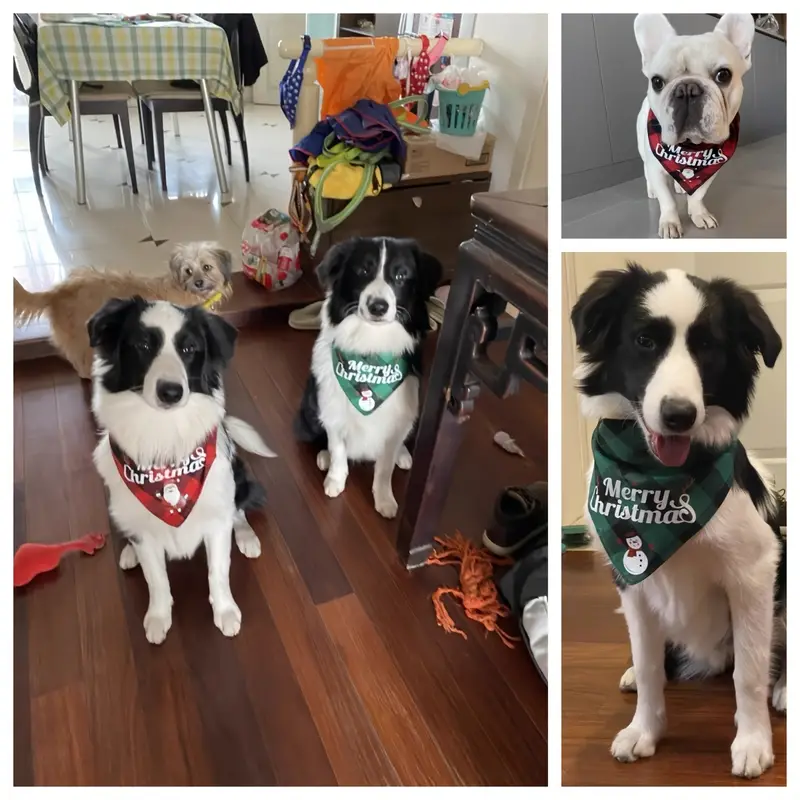 ON SALE🔥Pet Scarf Triangle Bibs for Small Medium Large and Extra Large Dogs Cats-Buy 5pcs Free Shipping