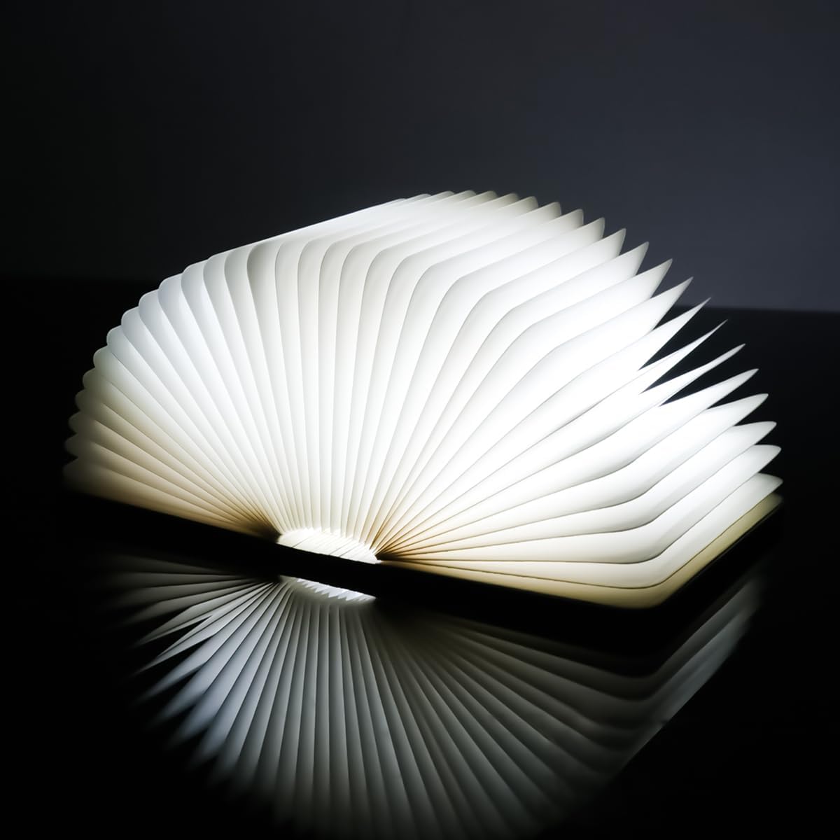 ⚡ON FLASH SALE⚡ - Lightbook