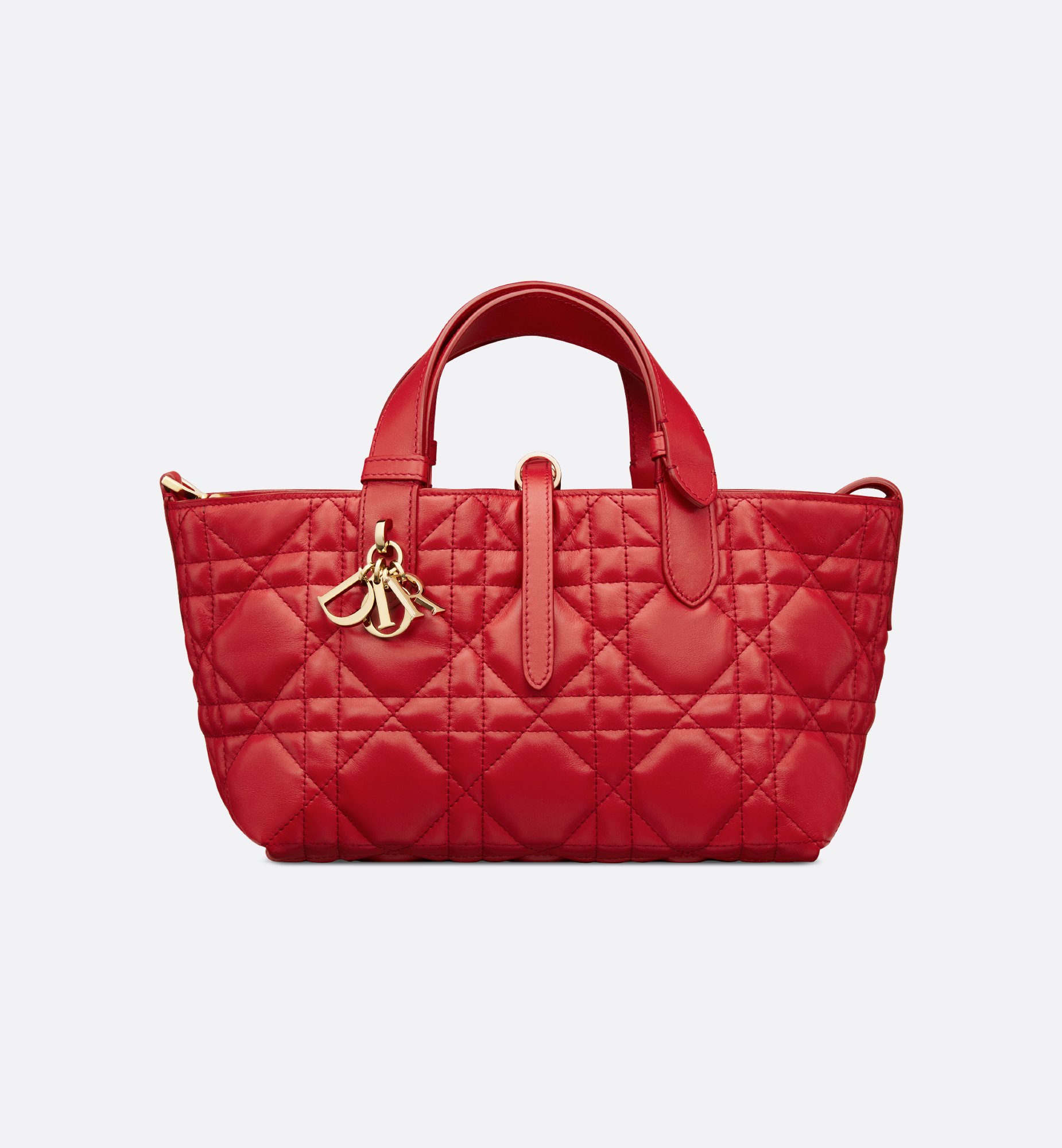 Dior Small Dioramour Dior Toujours Bag M2822OSHJ_M334