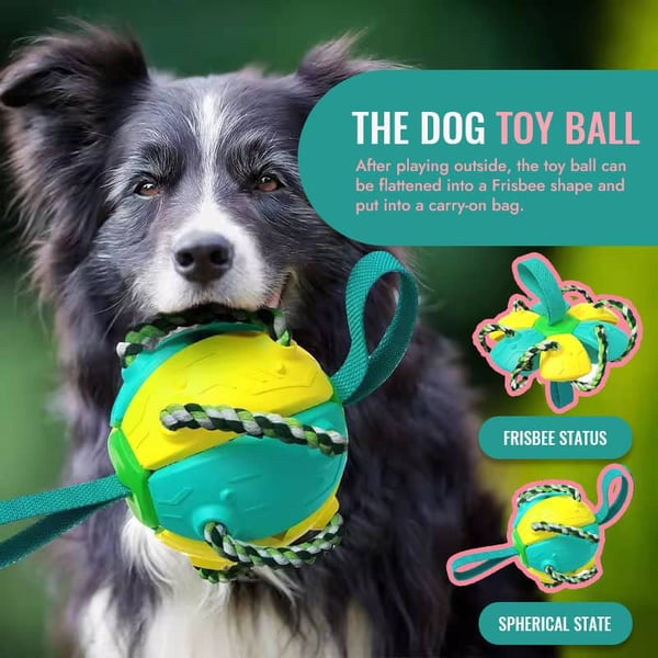 🔥Last Day Promotion-[SAVE 50% OFF]--Pet Toy Flying Saucer Chew Ball--BUY 2 GET 10% OFF & FREE SHIPPING