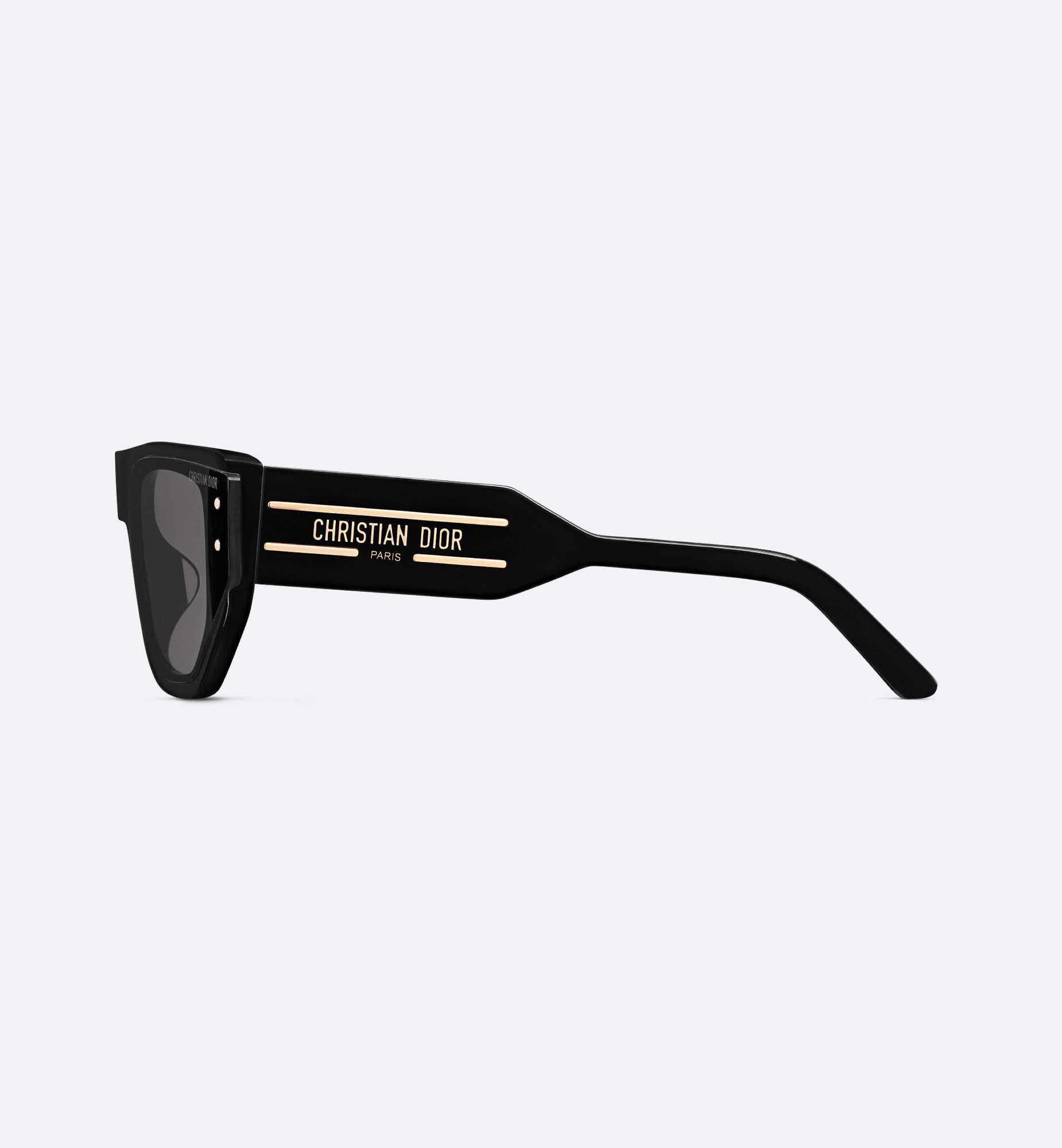 Dior DiorSignature S15F Sunglasses SGTS15FXR_10A0