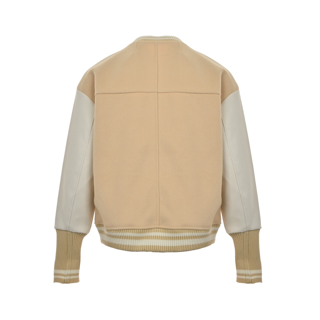 Louis Vuitton 24Fw Pegasus towel embroidered baseball jacket