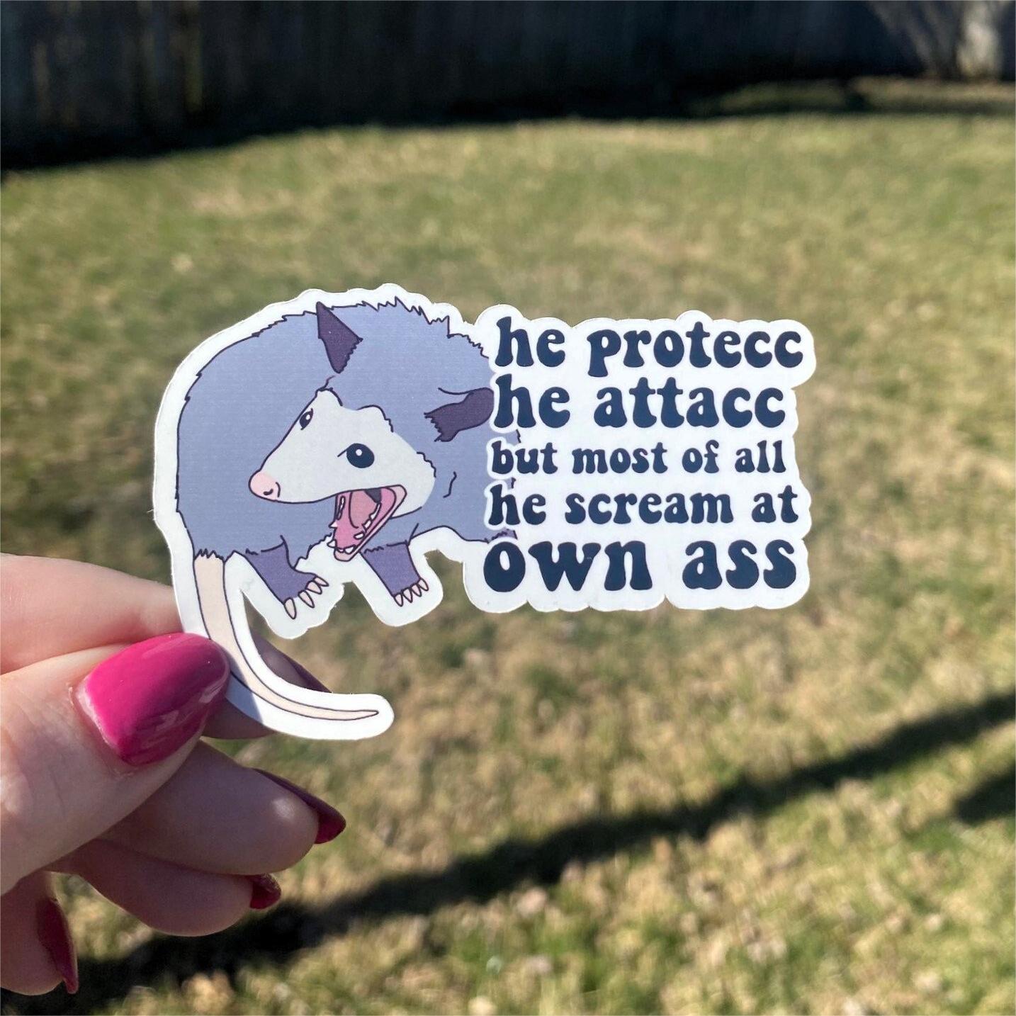 Funny Possum Sticker