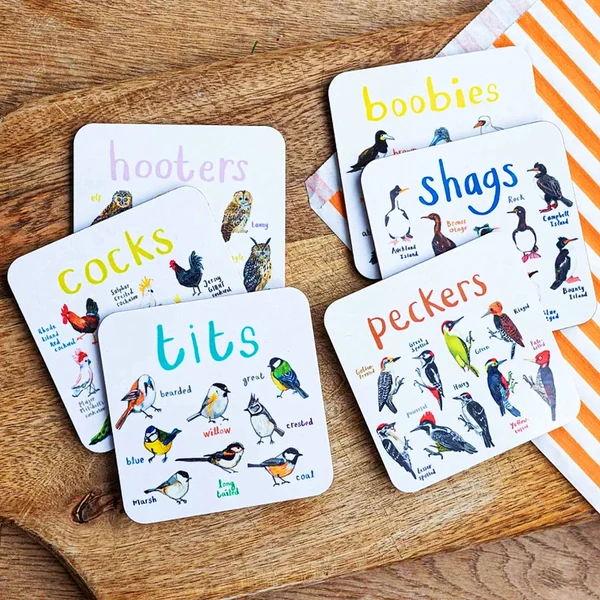 (🔥Last Day Promotion-SAVE 60% OFF)-Set of 6 Bird Pun Coasters