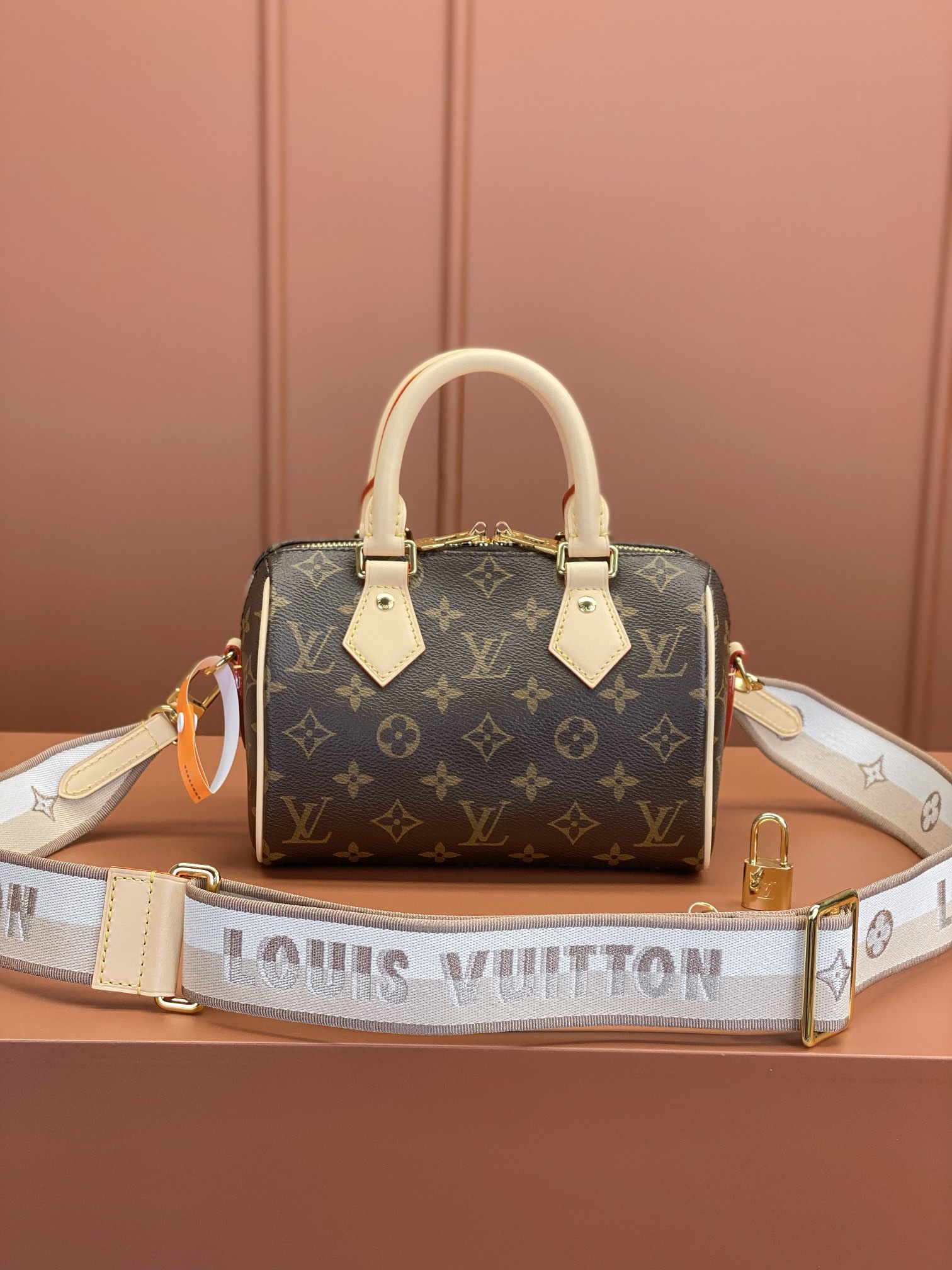 Louis Vuitton SPEEDY BANDOULIÈRE 20 Handbag M46222