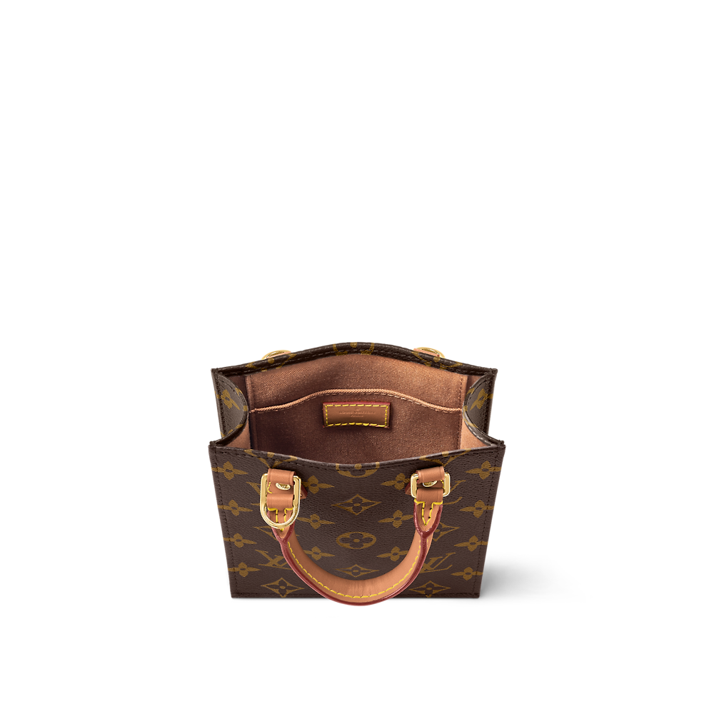Louis Vuitton PETIT SAC PLAT BAG M81295