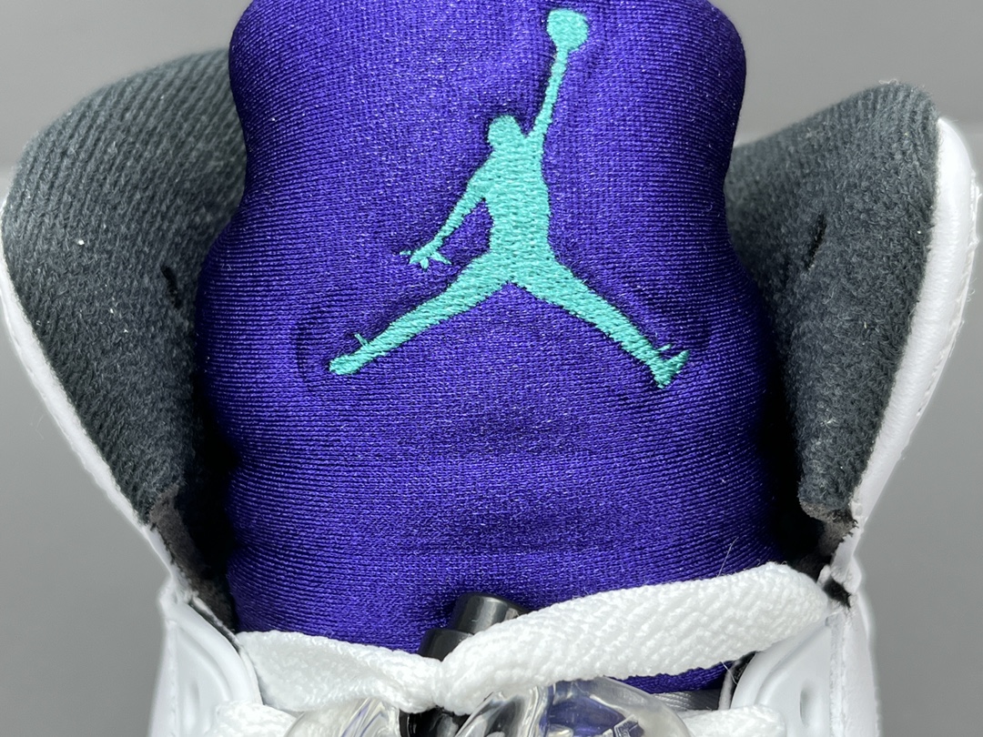 Nike Air Jordan 5 Retro OG “Grape”HQ7978-100