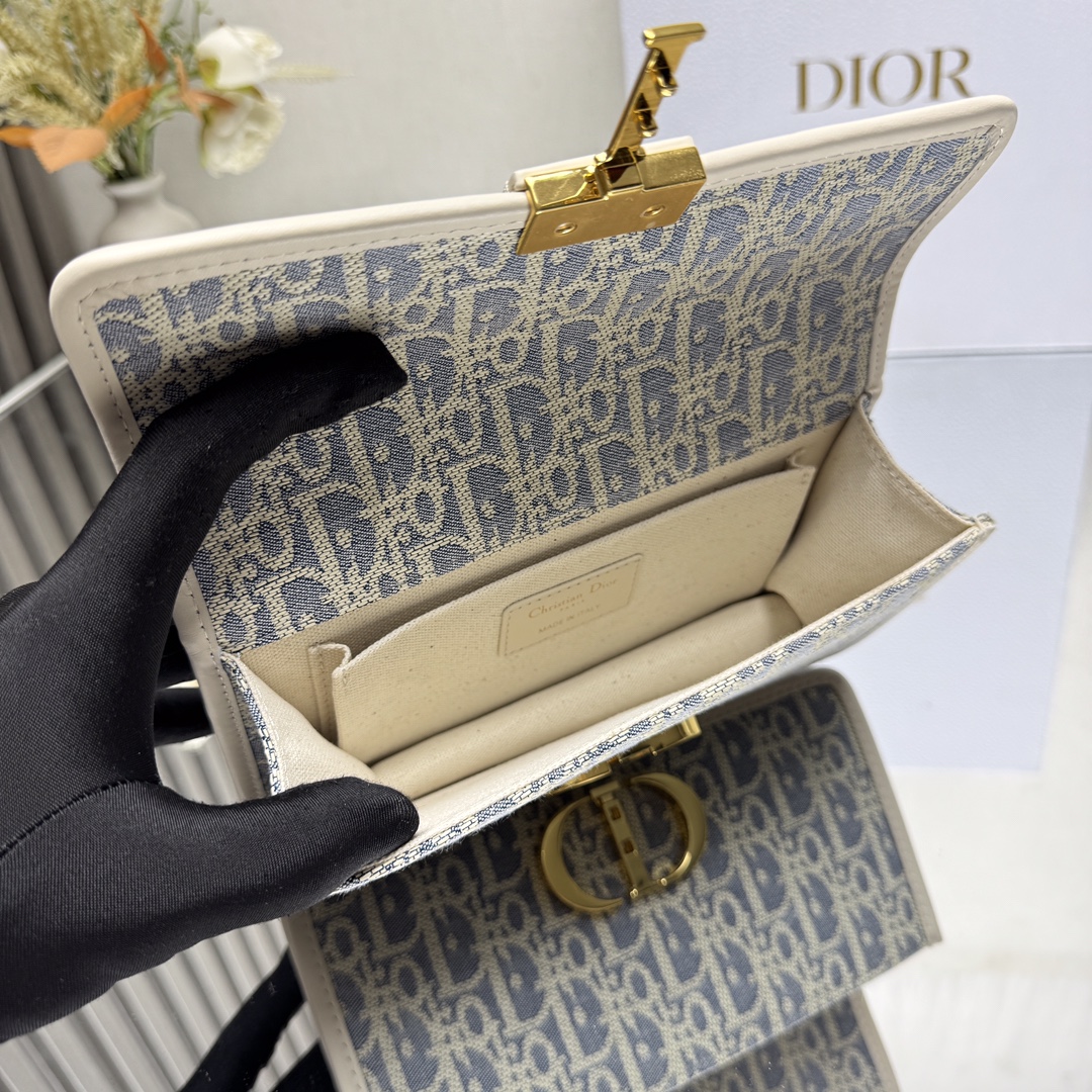 Dior Montaigne Raffia Collection 9207
