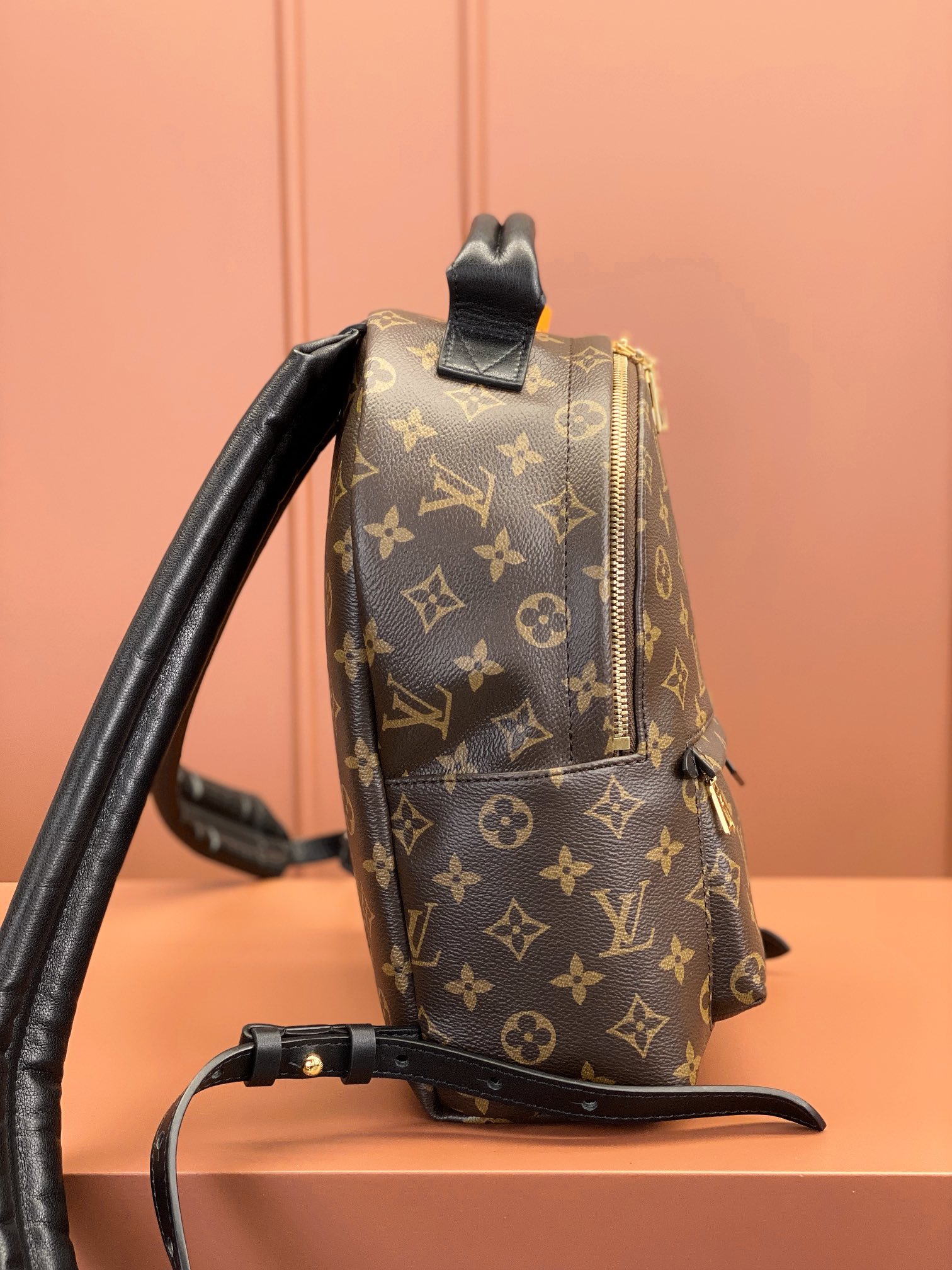 Louis Vuitton PALM SPRINGS Small Backpack M44871