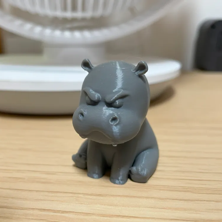 Grumpy Hippo🦛
