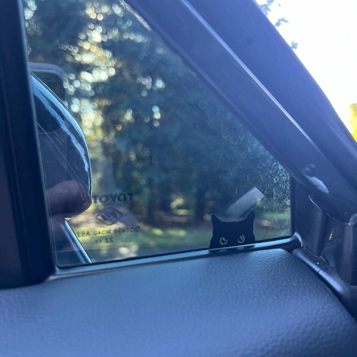 Cat Peeker Decal