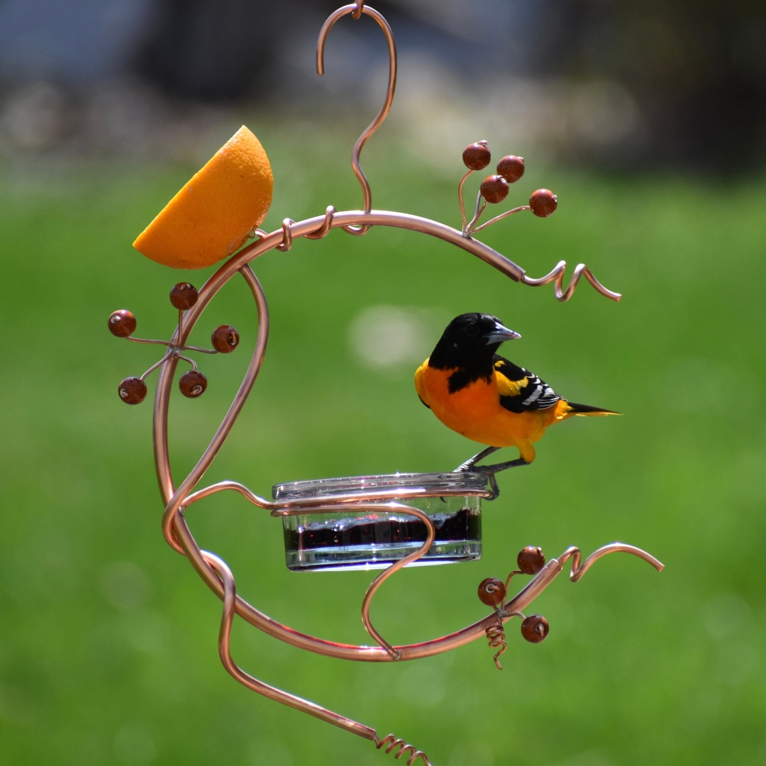 HOT SALE🔥Coppervine Red Berry Hummingbird Feeder