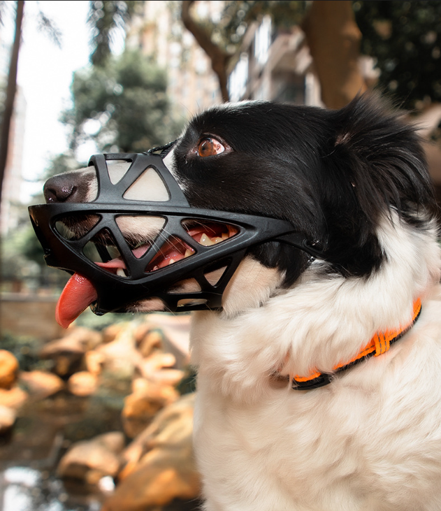 dog safety muzzle