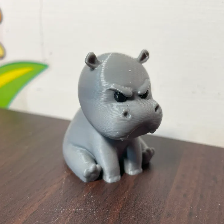 Grumpy Hippo🦛