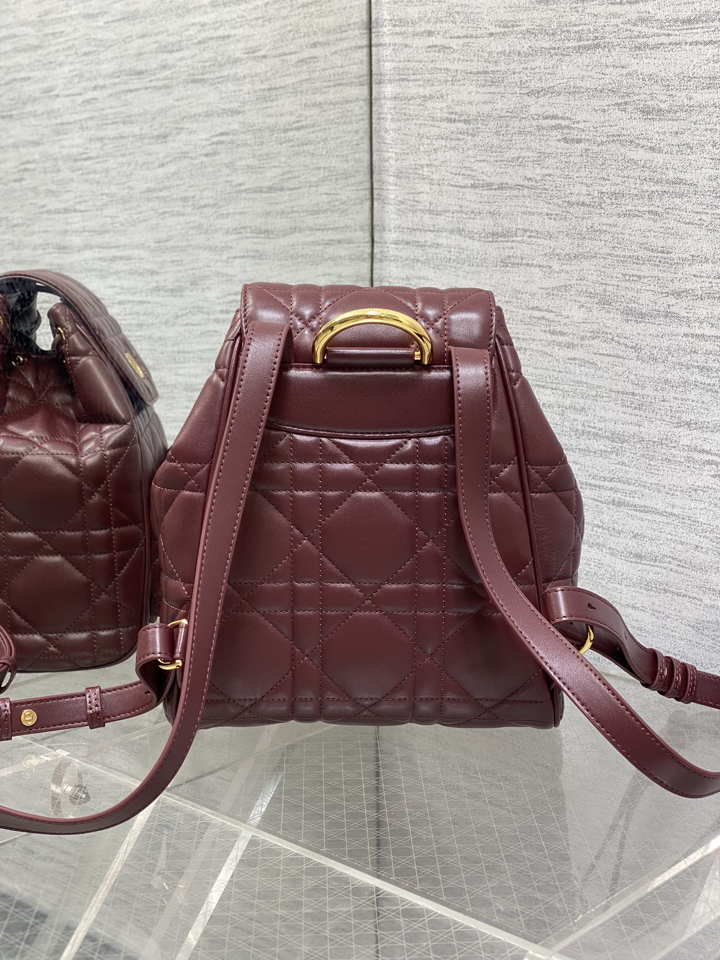 Dior Caro Fall/Winter Backpack