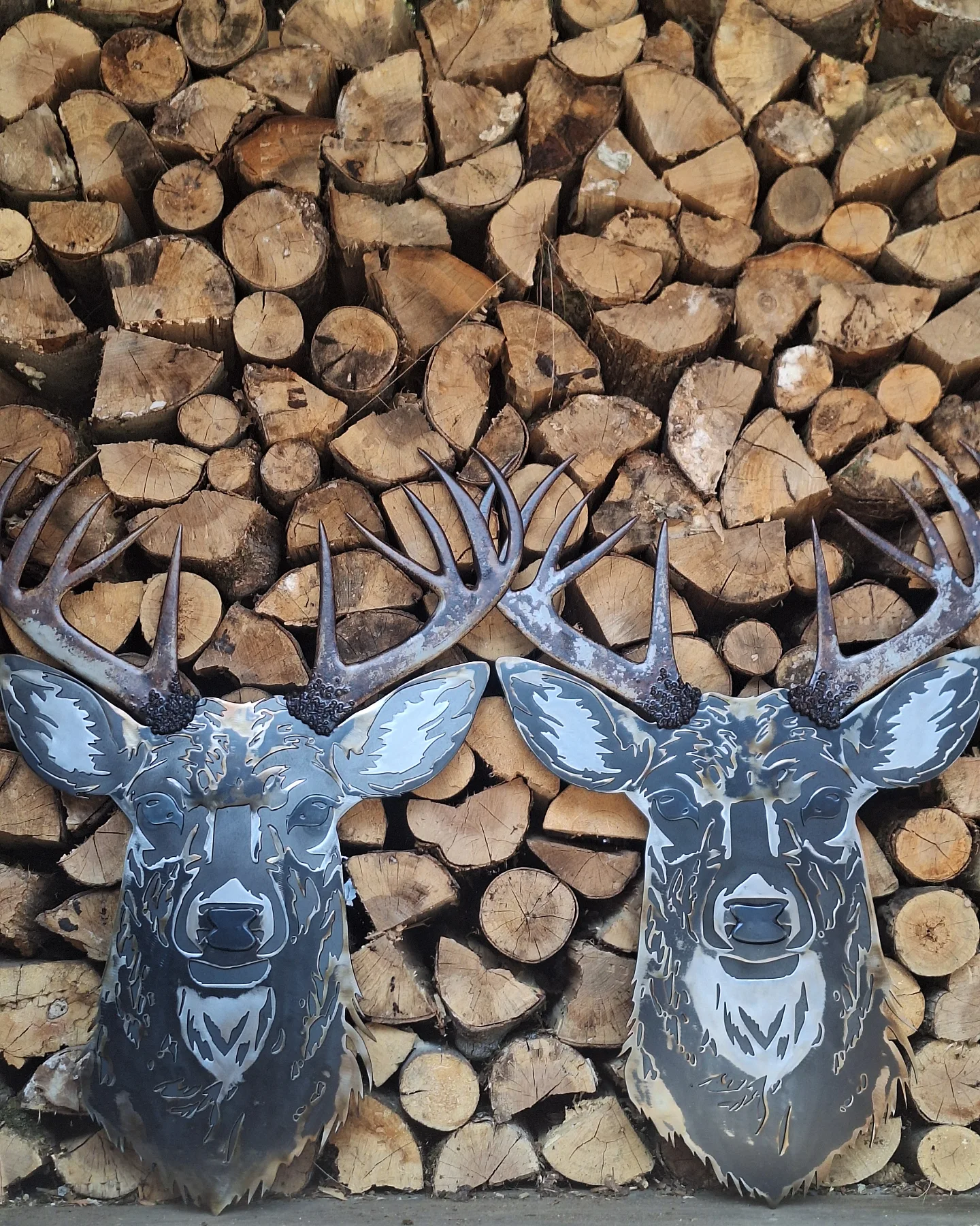 Nature’s Wild Soul Metal Art Collection