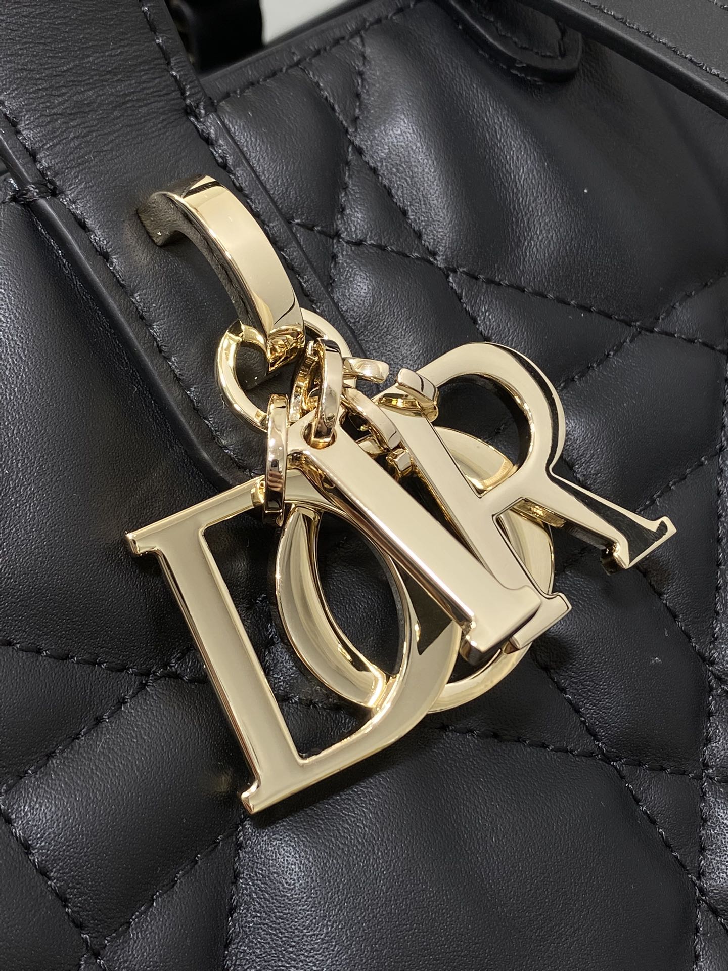 Dior Toujours Vertical Series Medium
