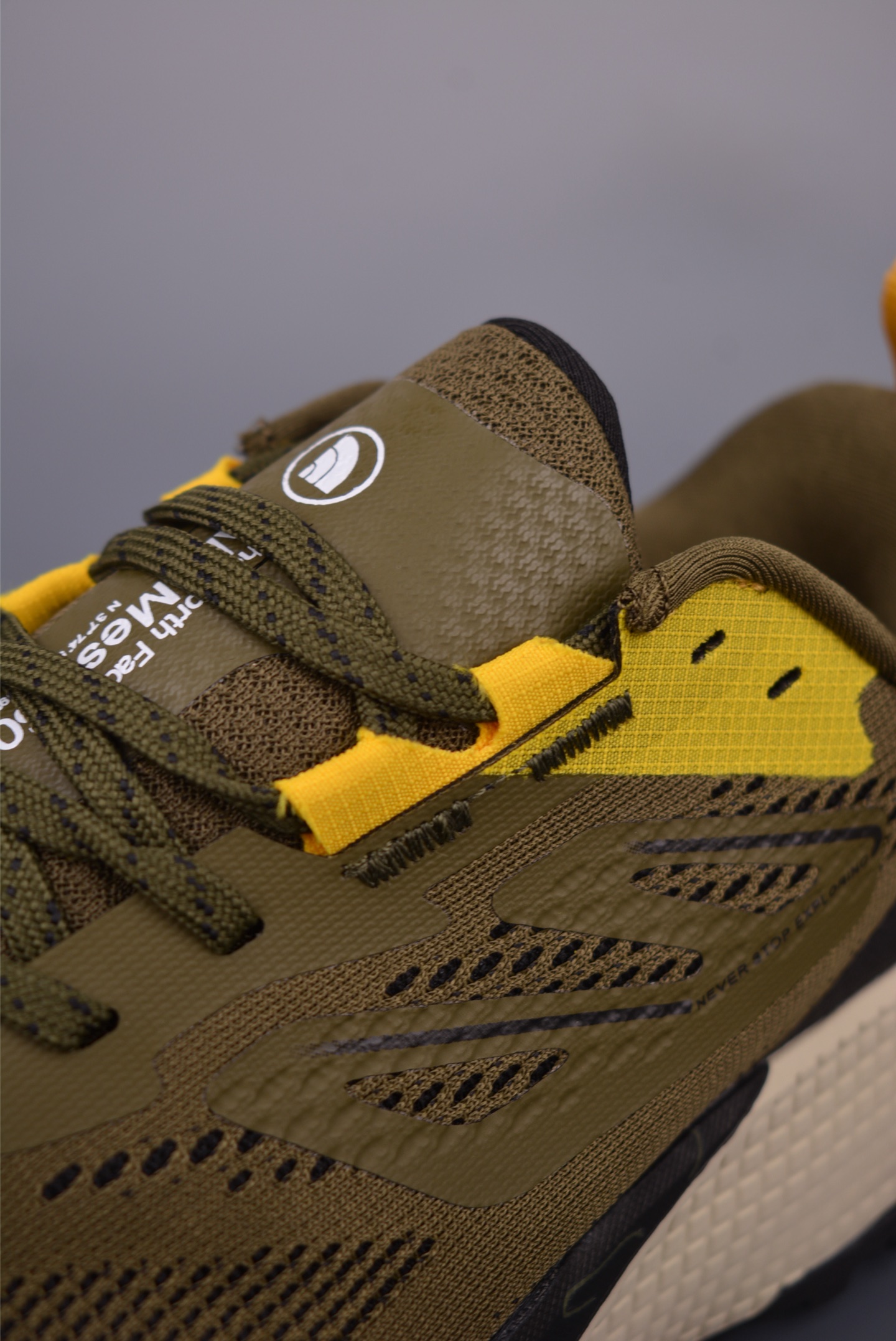 The North Face Altamesa 500 Hiking Shoes 
