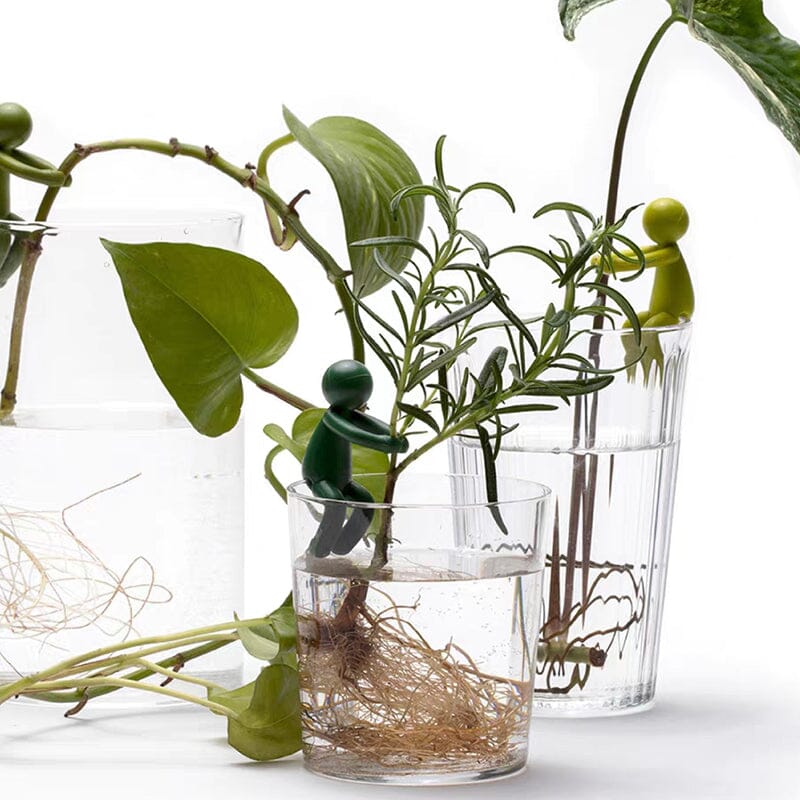 🔥Hot Sale Now - 50% OFF🔥💥3-Pack/Set Plant Cuttings Support & Propagation Buddy