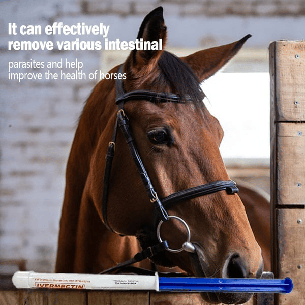 🔥Last Day 49% OFF - Ivermectin Horse Paste 1.87% 6.08g Tubes