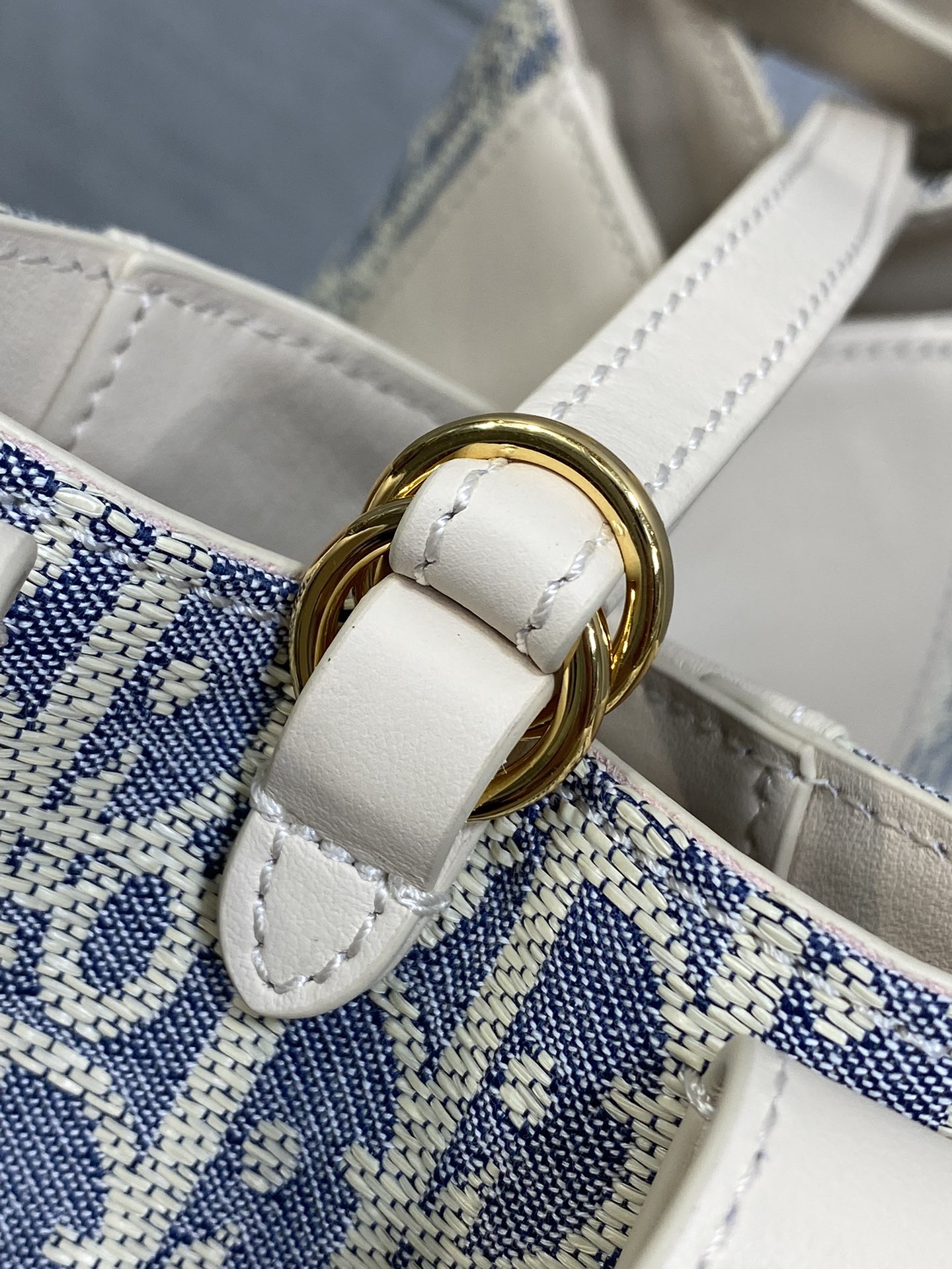 Dior Signature Bucket Bag