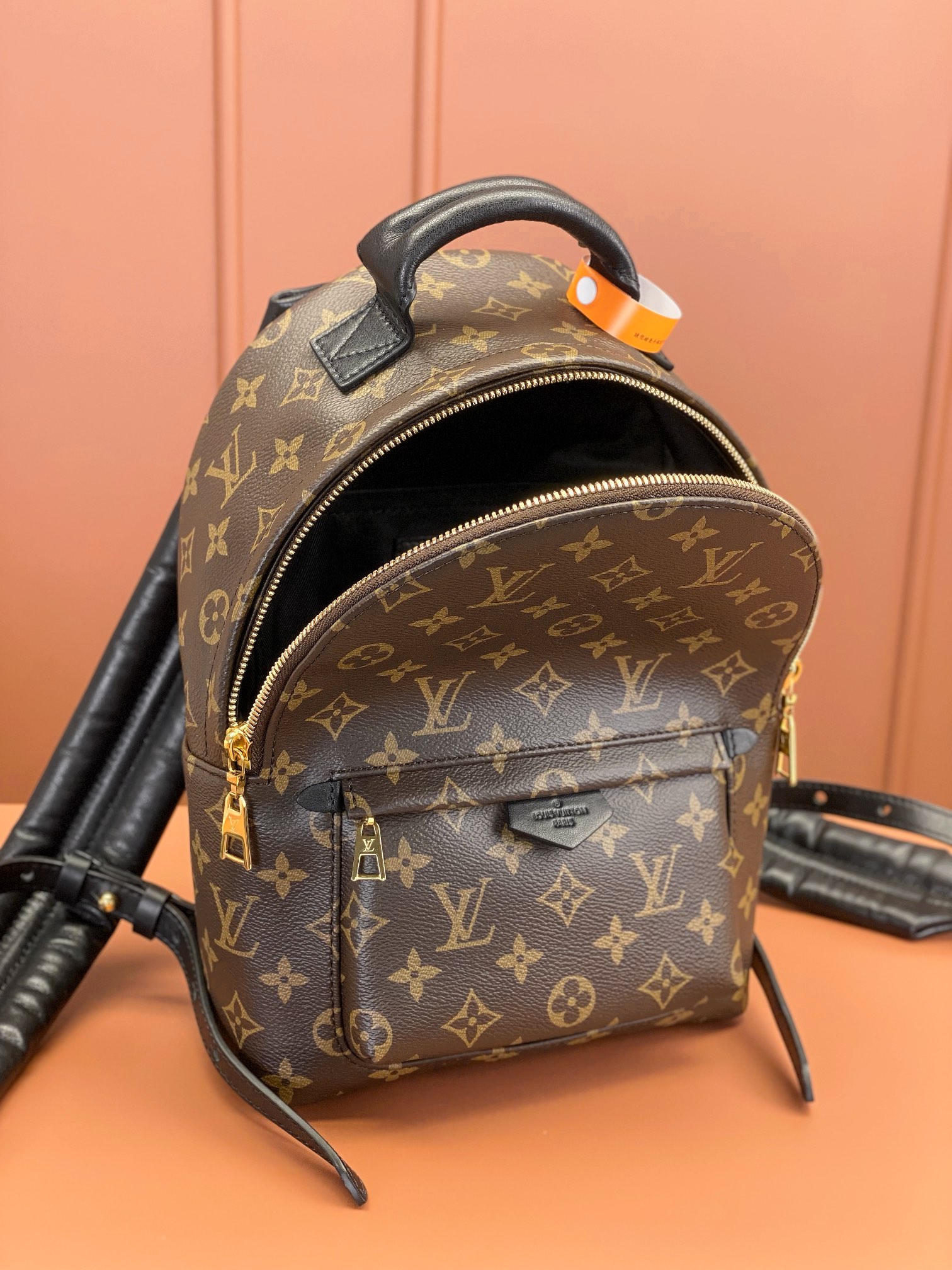 Louis Vuitton PALM SPRINGS Small Backpack M44871