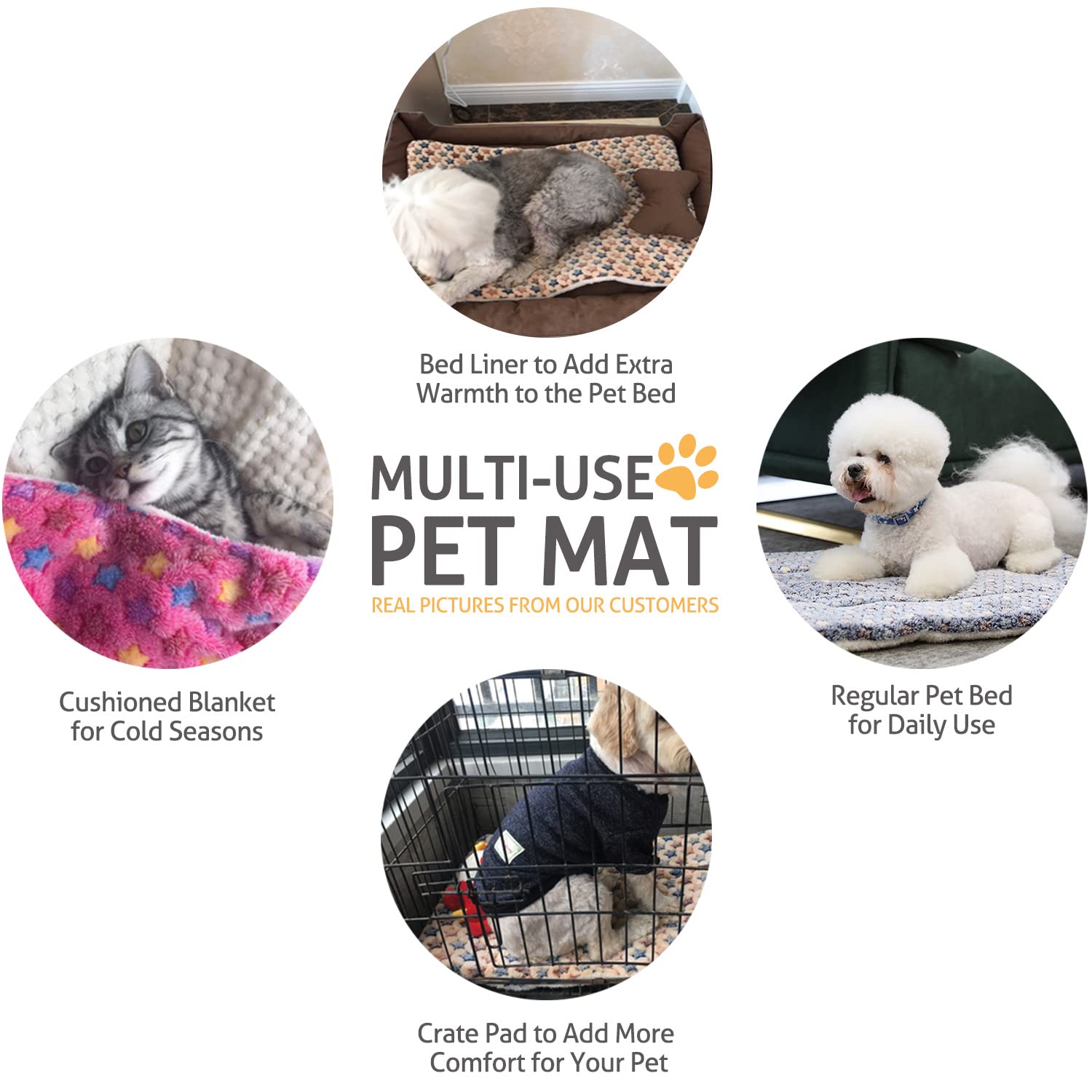 💥Last Day Promotion 50% OFF-Cozy Calming Cat Blanket-BUY 2 GET 10% OFF