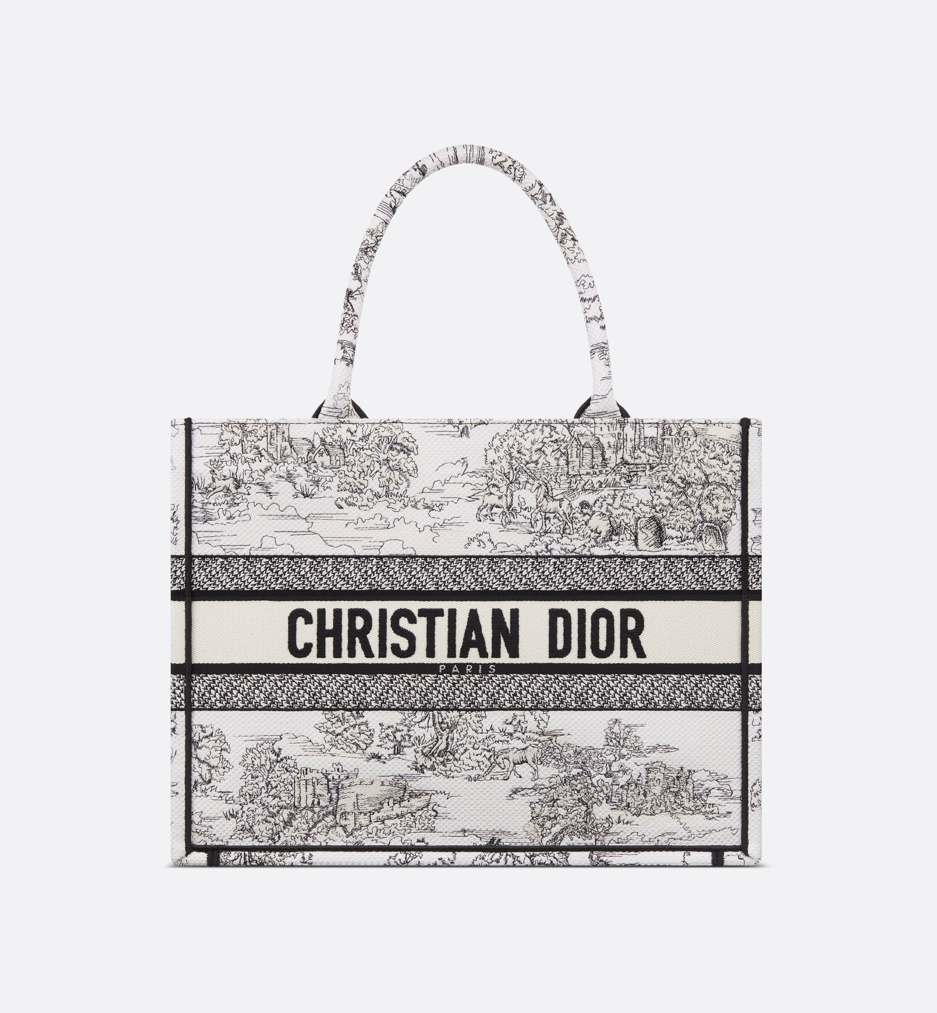 Dior Medium Book Tote Bag M1296ZEDR_M041
