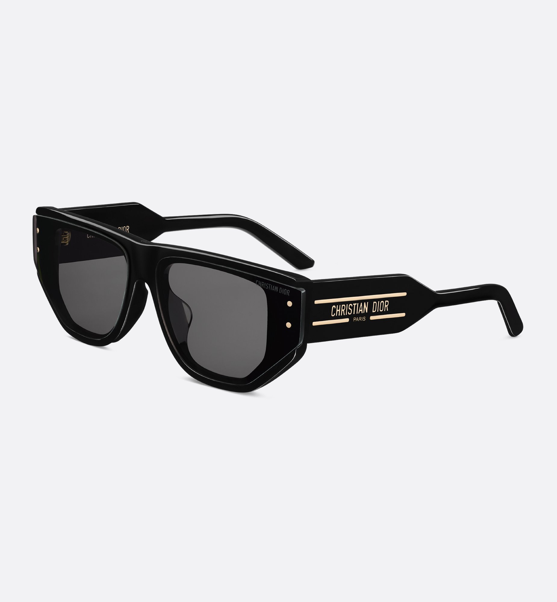 Dior DiorSignature S15F Sunglasses SGTS15FXR_10A0