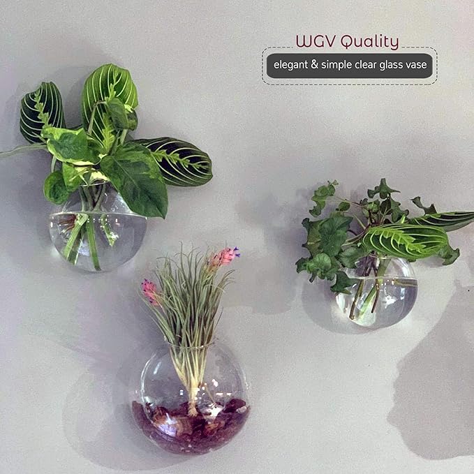 🌺🌺Creative Hanging Wall Glass Vase